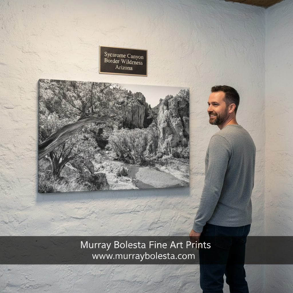 A black and white arizona canyon photograph depicting a rocky landscape with a river or stream running through it, surrounded by trees and vegetation. Sycamore Canyon Arizona by Murray Bolesta
