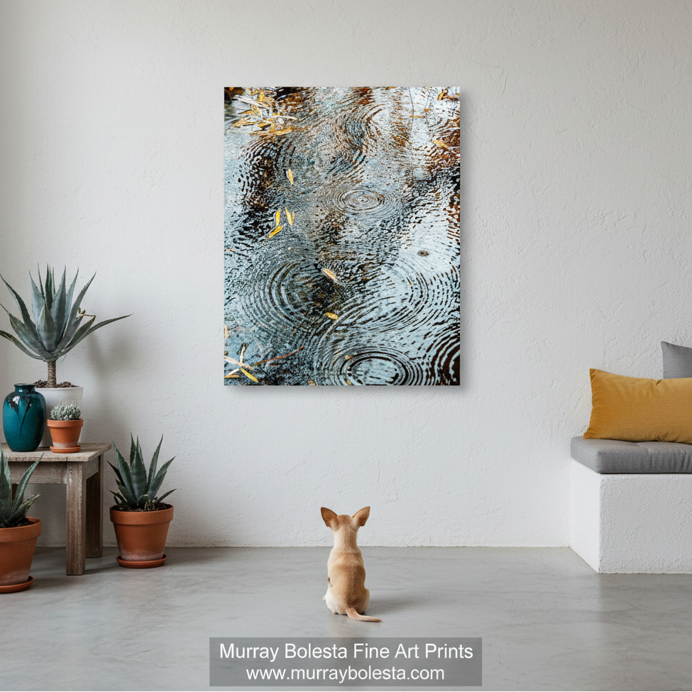 a tranquil scene of raindrops falling on a surface, creating a mesmerizing pattern of concentric circles and ripples. Sycamore Canyon Arizona wilderness art by Murray Bolesta!