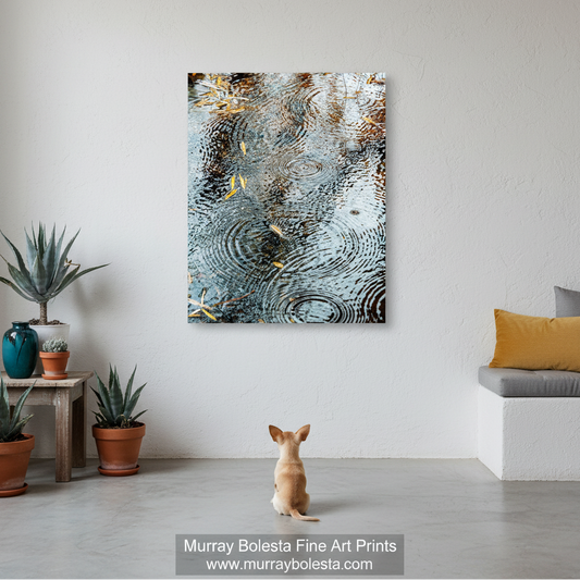a tranquil scene of raindrops falling on a surface, creating a mesmerizing pattern of concentric circles and ripples. Sycamore Canyon Arizona wilderness art by Murray Bolesta!