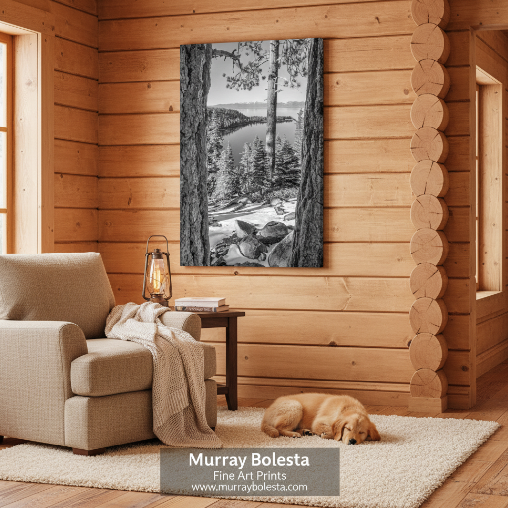 Lake Tahoe Emerald Bay by Murray Bolesta! A black and white forest landscape art print featuring a moose in a snowy woodland scene, displayed on a wood-paneled wall in a cozy living room setting with a beige armchair, dog, and side table.