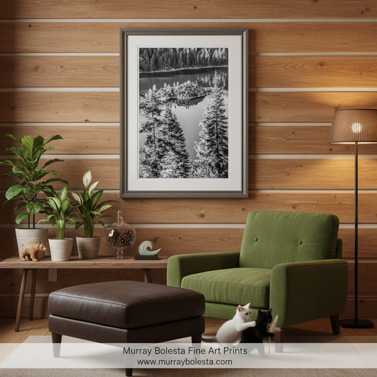 A black and white image of a forested area with a small island in the center of a lake, surrounded by tall trees. Black & White Emerald Bay Lake Tahoe Picture | Vertical Sierra Art by Murray Bolesta