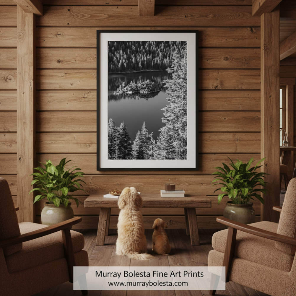 A serene black and white landscape featuring a small island in the middle of a calm lake, surrounded by a dense forest. Lake Tahoe Fannette Island Black & White Art | Emerald Bay Vertical Art by Murray Bolesta!