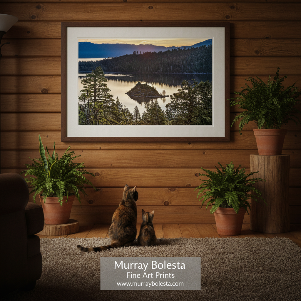 Tahoe Emerald Bay Fannette Island art! A framed landscape art print of a mountain lake at dusk hangs on a wood-paneled wall above two cats sitting on a rug, with potted ferns around it. The print is credited as Murray Bolesta Fine Art Prints at the bottom.