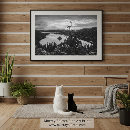 Tahoe art by Murray Bolesta! A black and white image depicting a serene lake surrounded by a forested landscape, with a large island in the center of the lake. Black & White Lake Tahoe Art | Emerald Bay Sierra Nevada Print