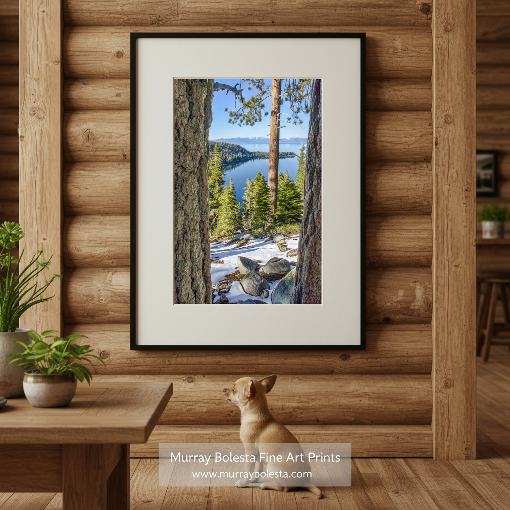 a serene winter landscape with a snow-covered forest and a calm lake in the background, framed by the trunks of trees. Lake Tahoe Artwork | Sierra Nevada Ponderosa Pines Vertical Print by Murray Bolesta!