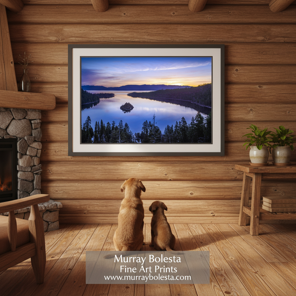 Lake Tahoe fine art print by Murray Bolesta! A framed art print of a scenic lake landscape at sunset hangs on a rustic wood-paneled wall above two dogs sitting and looking at the artwork. The print shows a winding river or lake with a small island, evergreen trees, and a colorful sky.