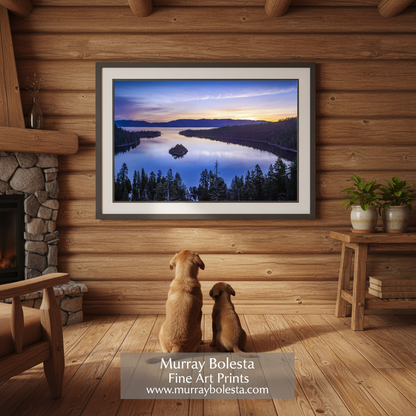 Lake Tahoe fine art print by Murray Bolesta! A framed art print of a scenic lake landscape at sunset hangs on a rustic wood-paneled wall above two dogs sitting and looking at the artwork. The print shows a winding river or lake with a small island, evergreen trees, and a colorful sky.