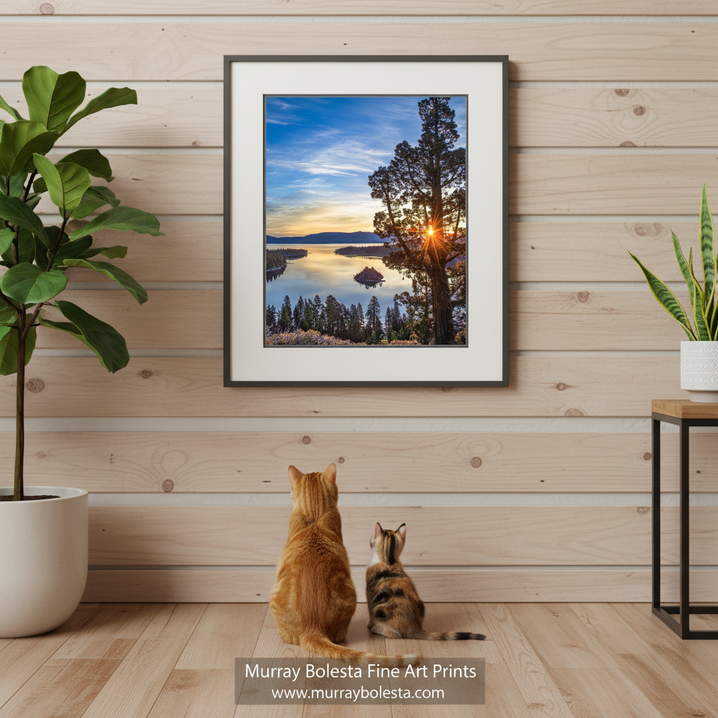 a serene landscape with a lake surrounded by trees and mountains, with the sun setting behind the trees, creating a beautiful reflection on the water surface. Lake Tahoe Art Fine Art Print by Murray Bolesta!