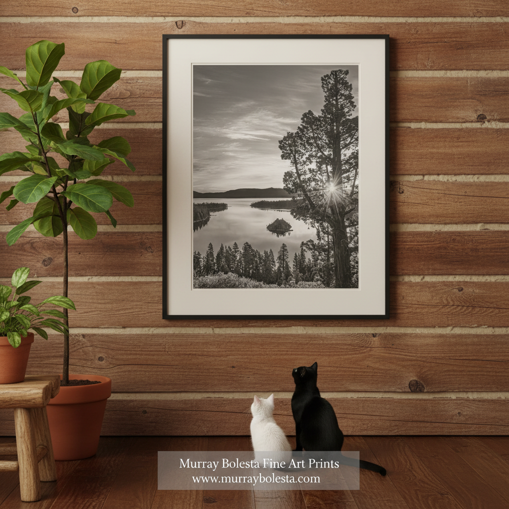 Lake Tahoe fine art Photography by Murray Bolesta. A serene black and white landscape featuring a lake surrounded by trees and mountains, with the sun's rays shining through the branches.