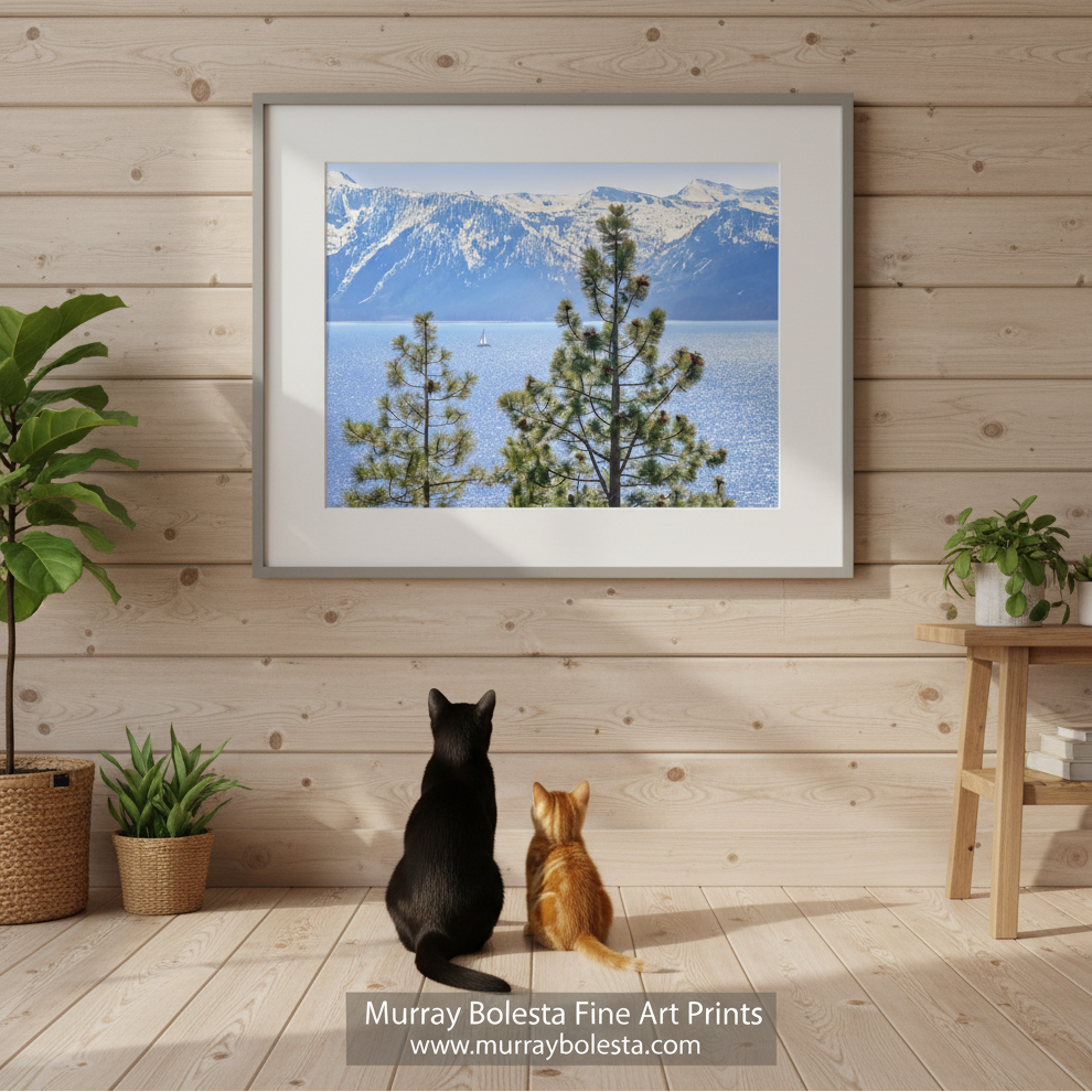 Lake Tahoe art by Murray Bolesta - a serene landscape with a mountain range in the background and a body of water in the foreground, featuring a sailboat on the water. 