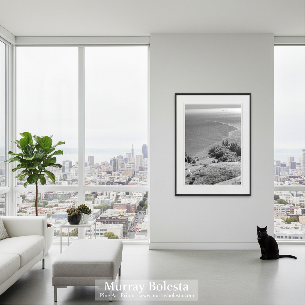 Mount Tamalpais California! A framed black and white landscape photograph of a coastal cliff and bay, displayed on a white wall in a modern, sunlit living room with a sofa, ottoman, potted plant, and a black cat sitting nearby. The text 'Murray Bolesta Fine Art Prints"