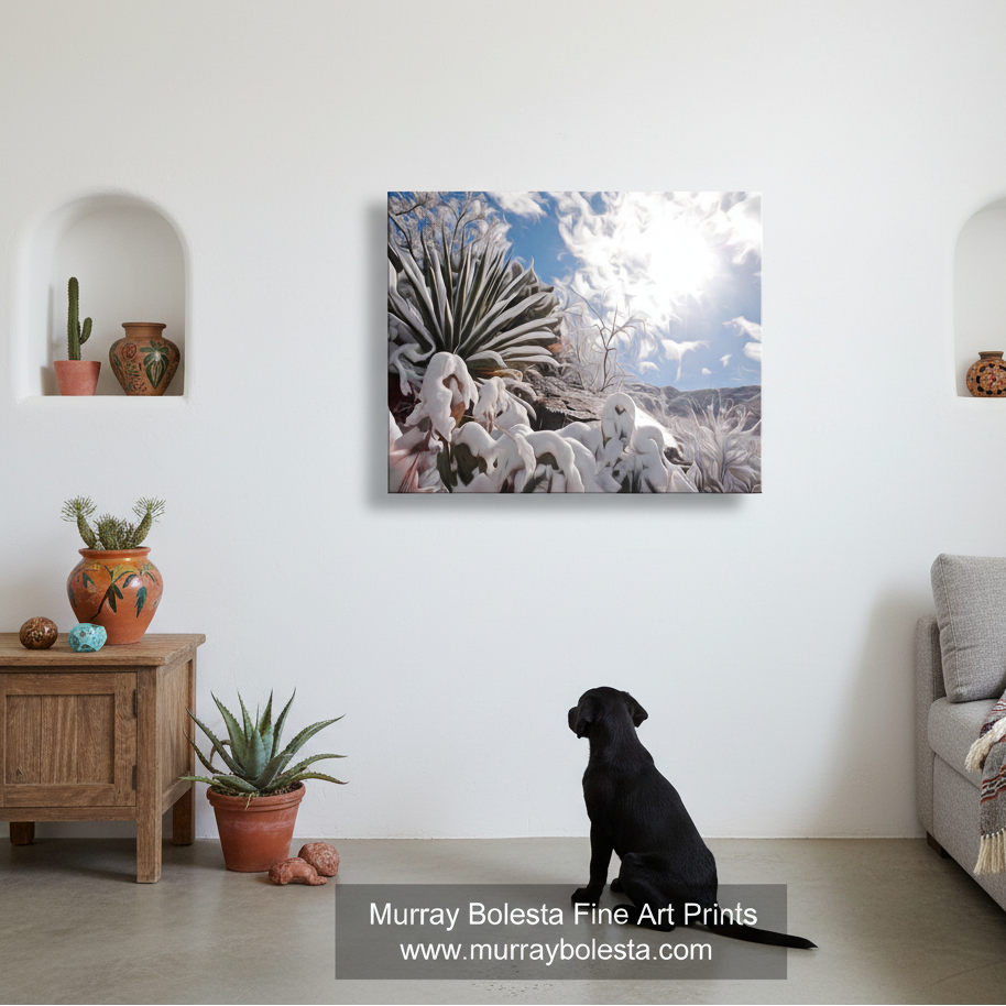 Agave winter art! A black dog sits on a light wood floor in a modern living room, looking up at a square canvas wall art print depicting snow-covered yucca plants under a bright blue sky with the sun shining. A watermark at the bottom reads 'Murray Bolesta Fine Art Prints"