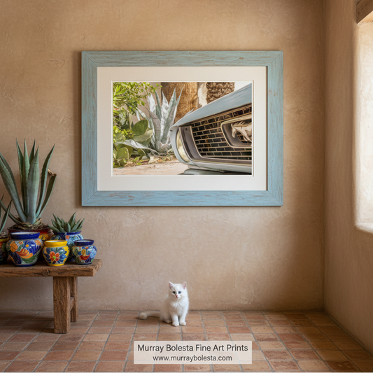 a close-up view of a car's front grille, with a lush, green garden in the background. Tucson Barrio art print by Murray Bolesta!