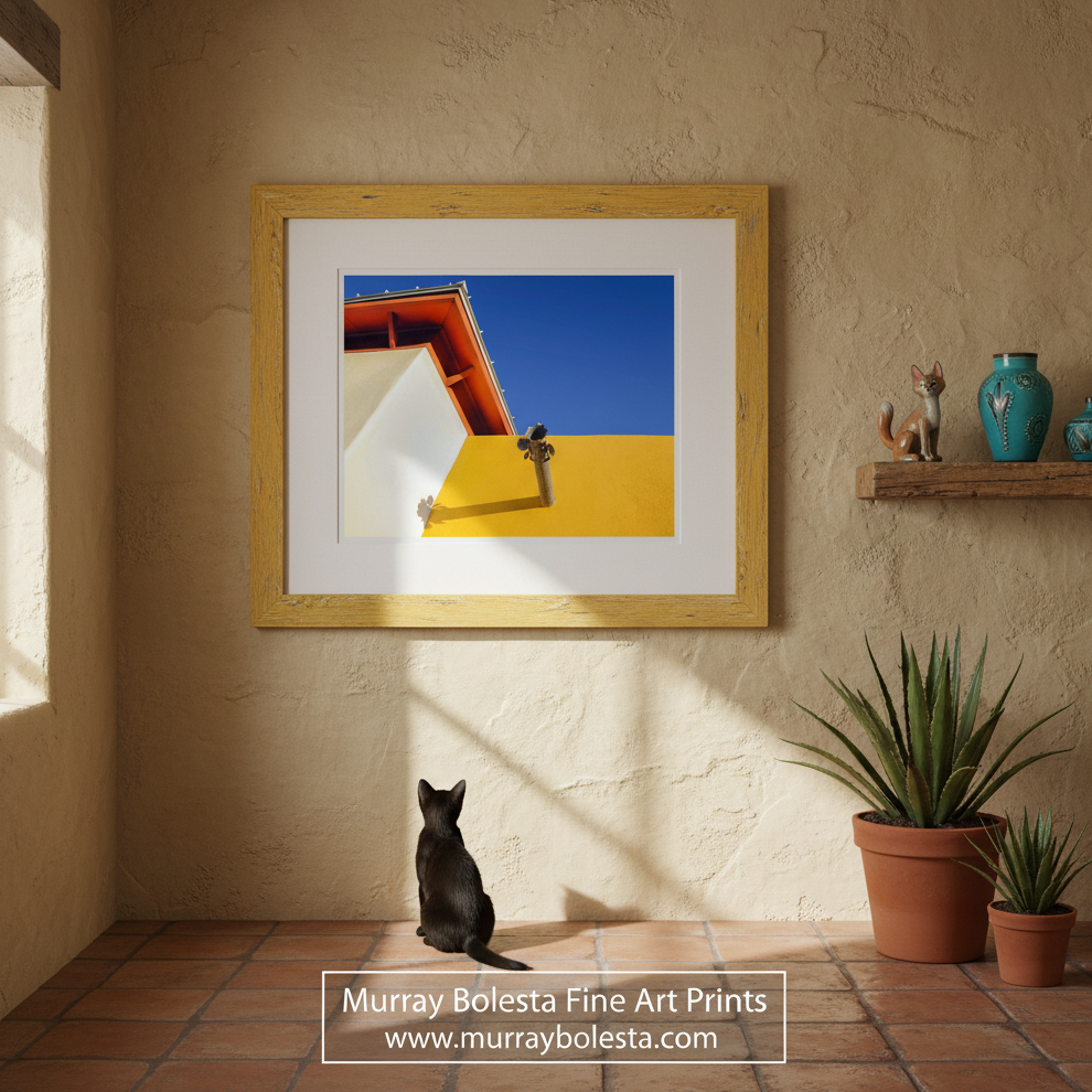 A vibrant photograph of a Tucson barrio featuring bright southwest colors with a decorative metal 'canale' or rain spout, available as an unframed art print or canvas wrap. Art by Murray Bolesta!