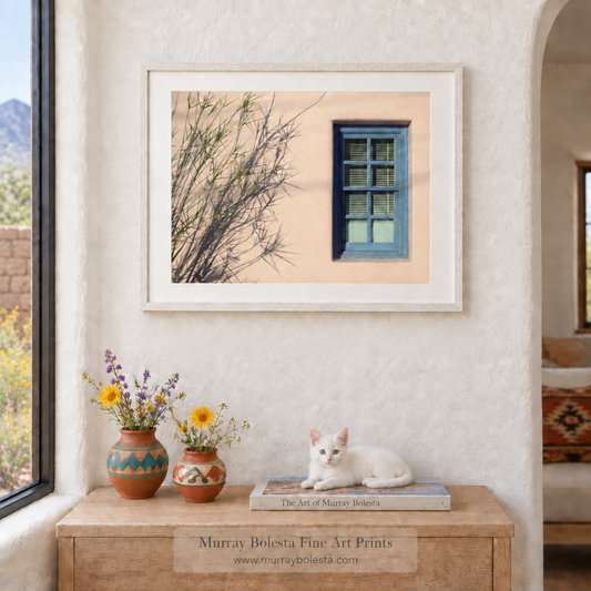 Tucson Arizona Barrio Viejo Architecture Art by Murray Bolesta.
