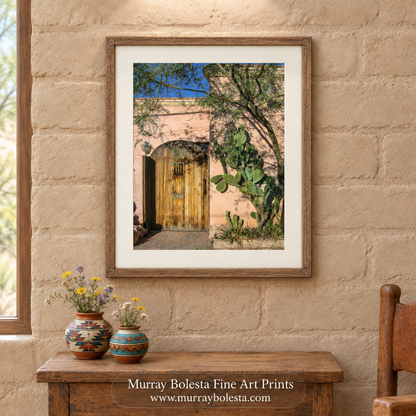 Tucson Arizona Barrio Viejo artwork by Murray Bolesta!