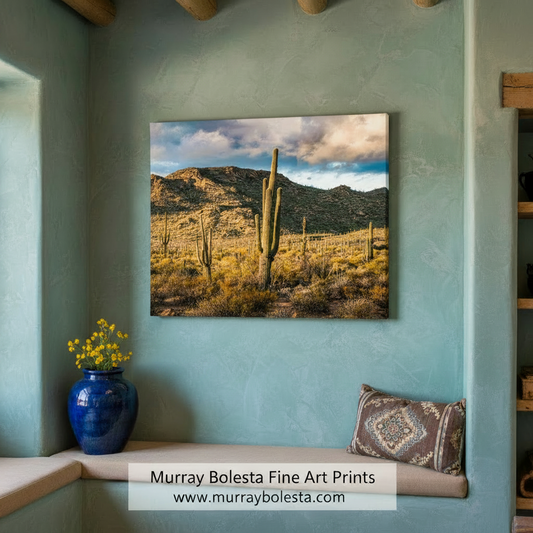 Tucson Mountain Park Art Print | Arizona Desert Landscape Photo