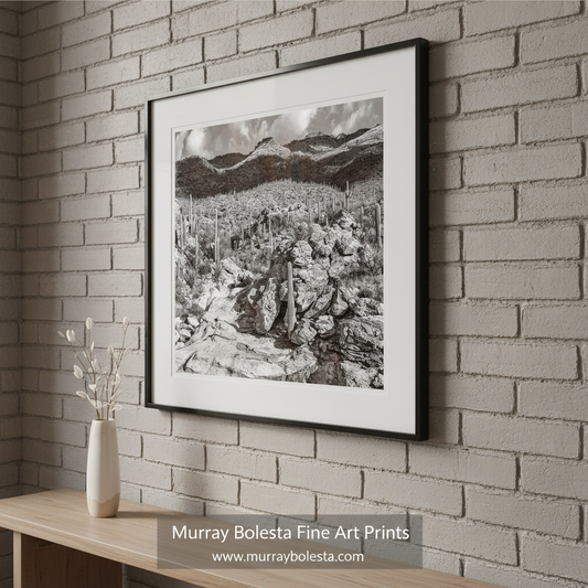 A black and white photograph depicting a rocky desert landscape with a mountain range in the background. Black & White Tucson Desert Art Print - Arizona Landscape Photo by Murray Bolesta