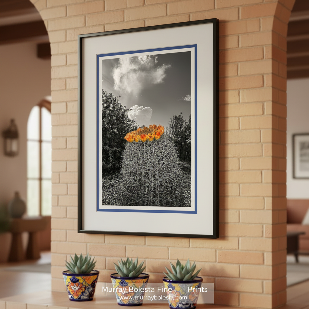 A striking black and white image of a cactus with vibrant orange flowers blooming on top, set against a cloudy sky. Desert Sky Art Print with Barrel Cactus | Unique Southwest Decor by Murray Bolesta