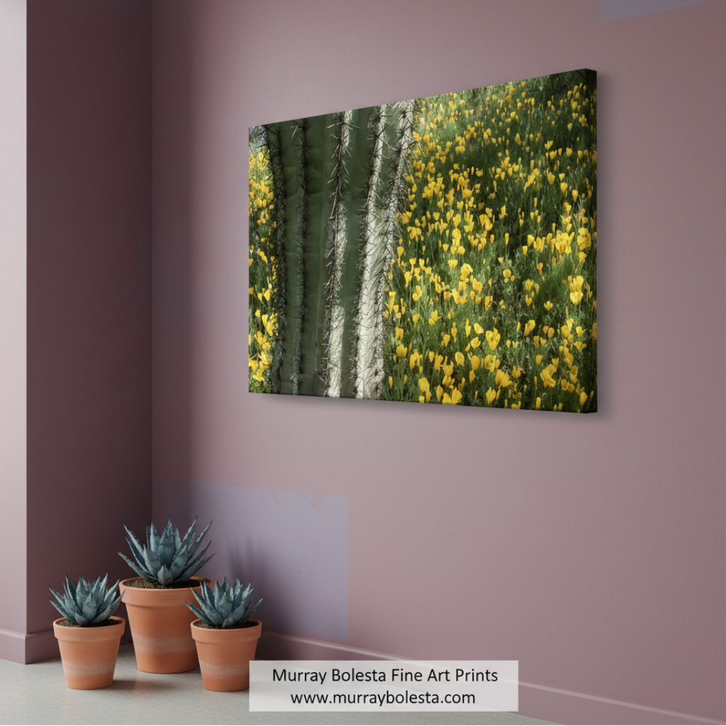 A cactus plant with spines and yellow flowers growing in the foreground, with a background of green grass and yellow flowers. Picacho Peak Arizona Desert Wildflower Art with Cactus by Murray Bolesta