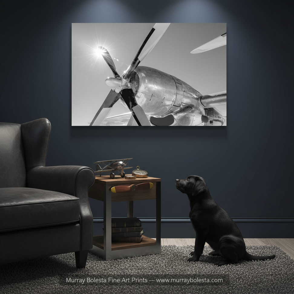 WWII warbird by Murray Bolesta! A black and white art print of a vintage airplane propeller mounted on a dark blue-gray wall in a living room setting, with a black leather armchair on the left and a black dog sitting on the right looking at the print.