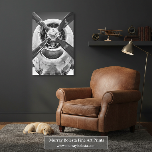 A black and white art print of a vintage airplane propeller hangs on a dark gray wall in a styled room with a brown leather armchair, a small sleeping dog on a rug, and a floor lamp.