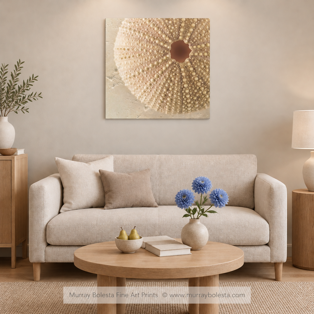 Sea Urchin Still Life Art by Murray Bolesta
