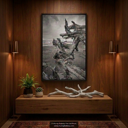 Washington State beach driftwood, art print by Murray Bolesta