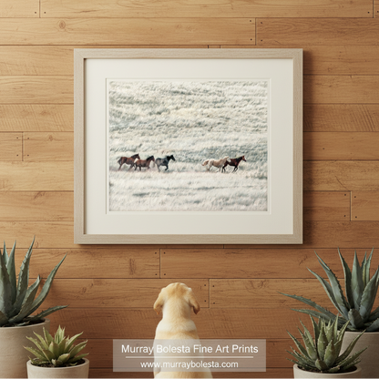 A group of horses running across a grassy field. Wild Horse Art Print | San Rafael Valley Equestrian Wall Decor Arizona Art by Murray Bolesta
