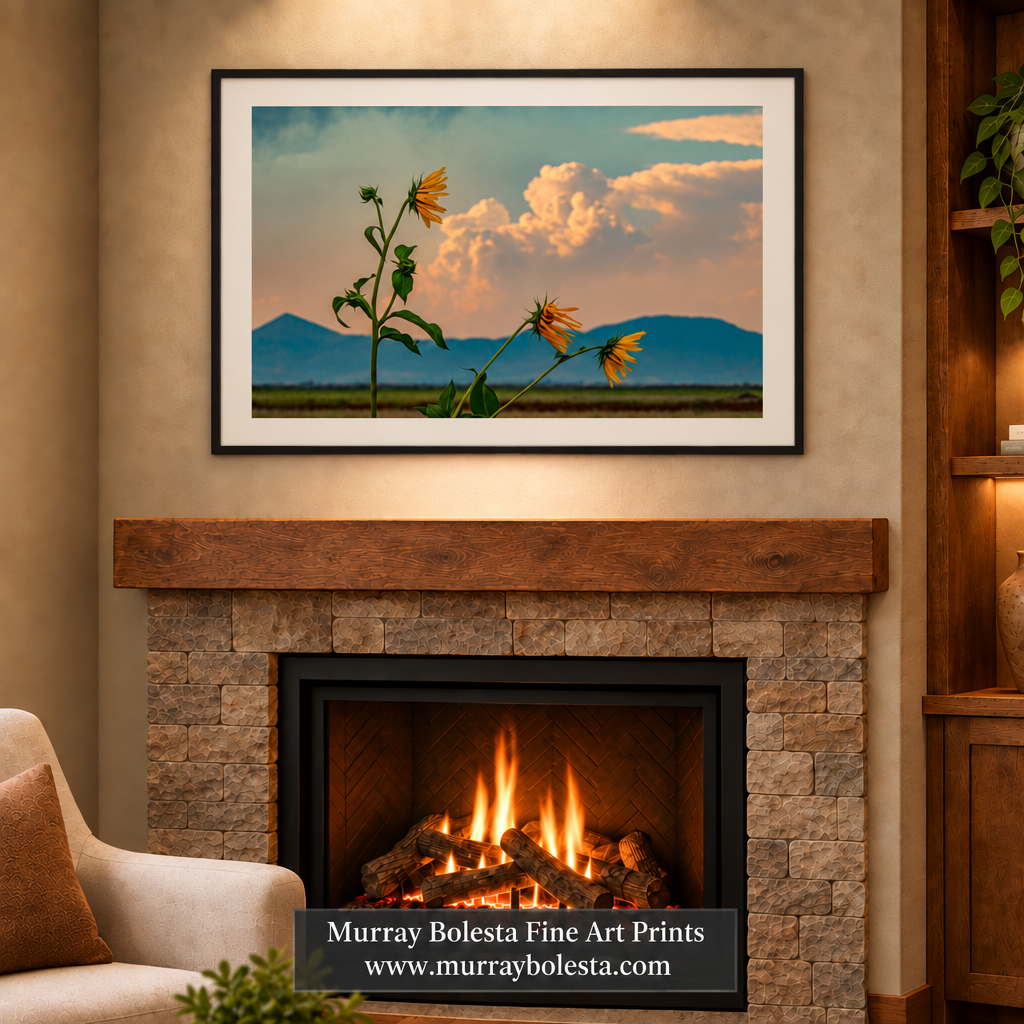 Stormy sky Siskiyou county artwork by Murray Bolesta