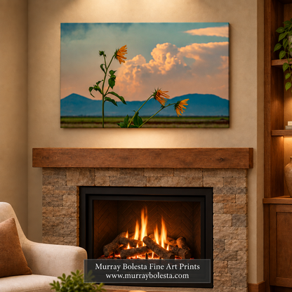Stormy Sky & Wild Sunflower artwork at tule lake by Murray Bolesta.