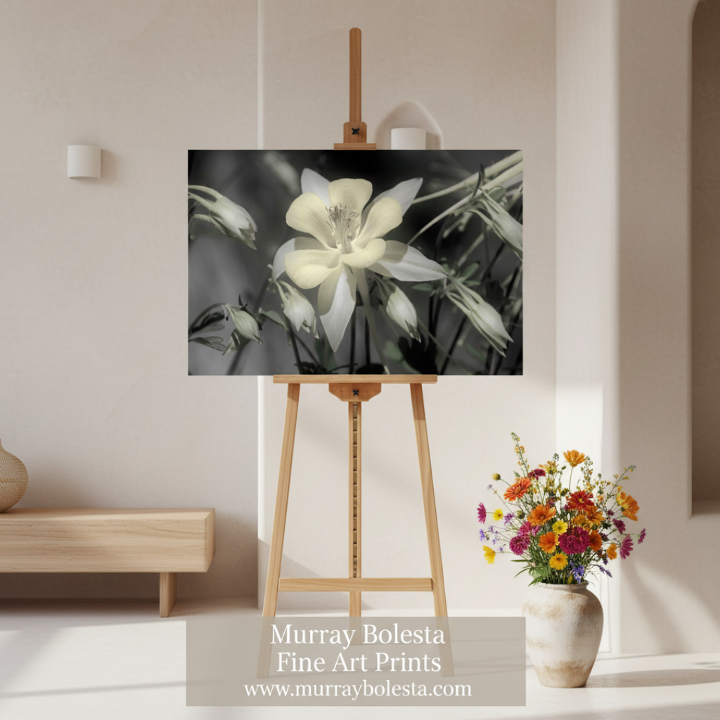 Columbine Flower Art Print | Arizona Desert Oasis by Murray Bolesta!