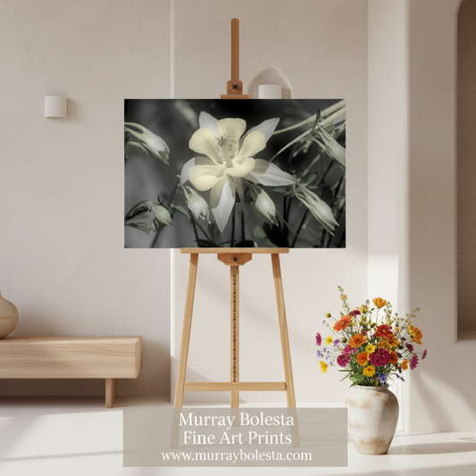 Columbine Flower Art Print | Arizona Desert Oasis by Murray Bolesta!