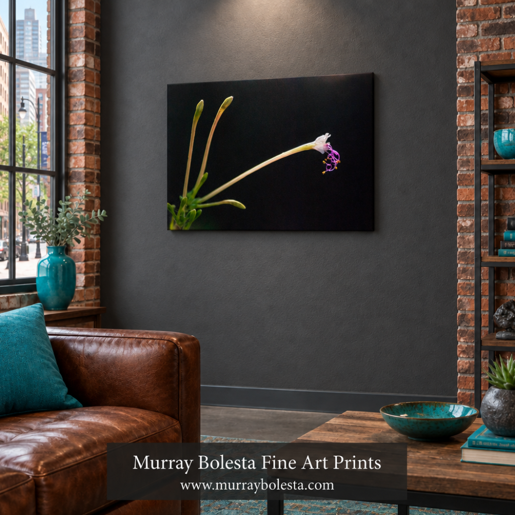A framed wall art print showing a close-up of a flower with green buds on a black background, displayed in a modern living room setting with a brown leather sofa, brick walls, and a wooden coffee table. Wildflower art by Murray Bolesta.