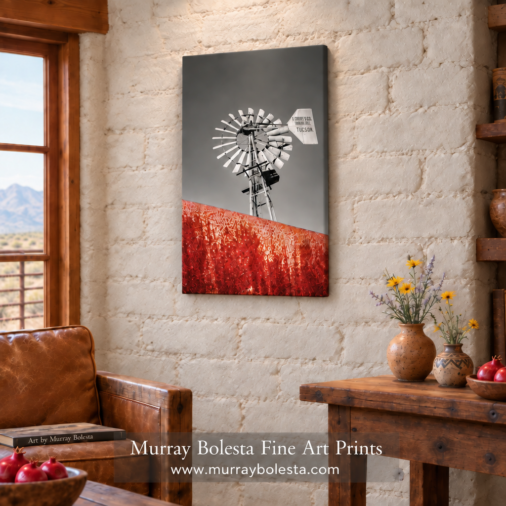 Windmill Tumacacori Mountains by Murray Bolesta