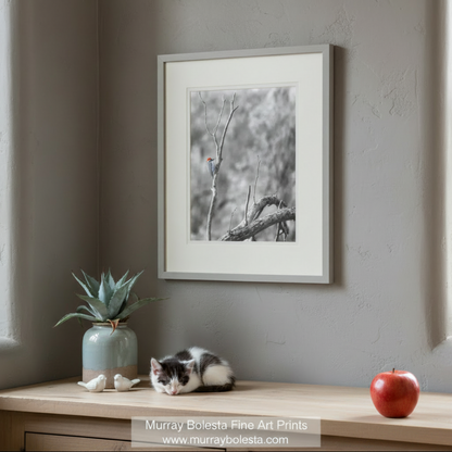 A black and white photograph of a woodpecker perched on a bare tree branch. Ladderback Woodpecker Bird Artwork | Winter Arizona Wildlife Art by Murray Bolesta